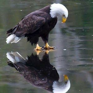 Meet your Posher, Scott